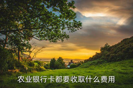 農(nóng)業(yè)銀行卡都要收取什么費(fèi)用