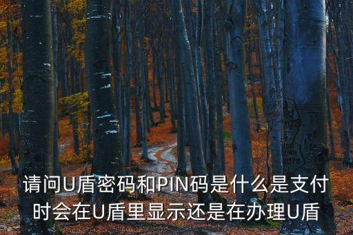 請(qǐng)問U盾密碼和PIN碼是什么是支付時(shí)會(huì)在U盾里顯示還是在辦理U盾