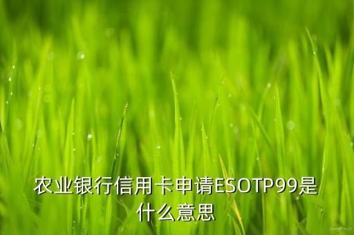 信用卡申請(qǐng)999什么意思，太平洋信用卡申請(qǐng)?jiān)趯徍酥械?91是什么意思