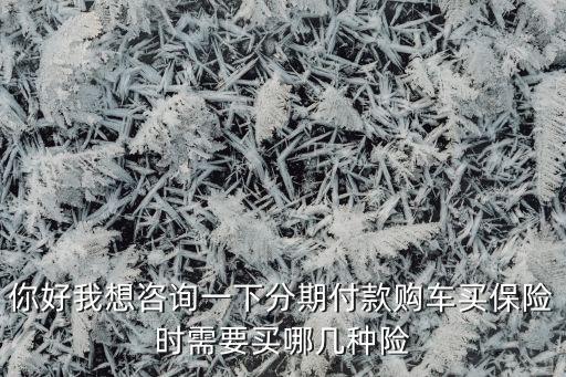 你好我想咨詢一下分期付款購車買保險時需要買哪幾種險