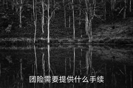 團(tuán)險(xiǎn)需要提供什么手續(xù)