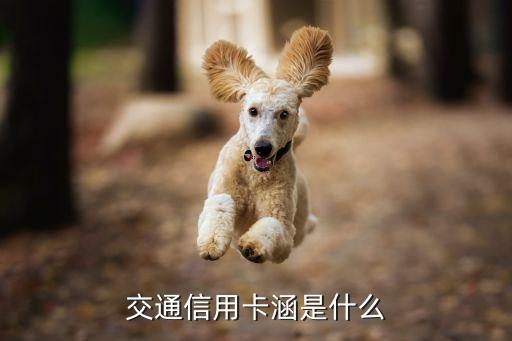 交通手機信用卡是什么，交通銀行手機辦信用卡是真的嗎