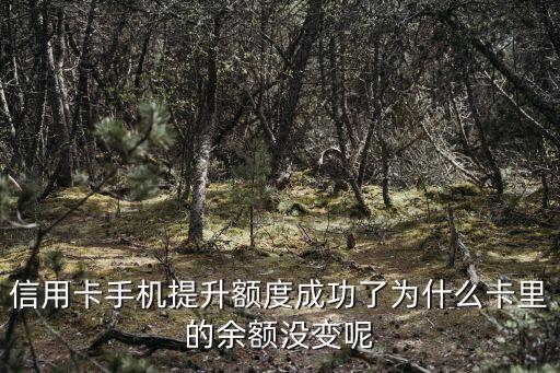 信用卡手機提升額度成功了為什么卡里的余額沒變呢