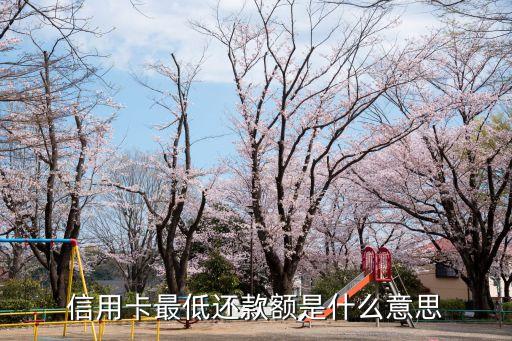 信用卡最低還款額是什么意思