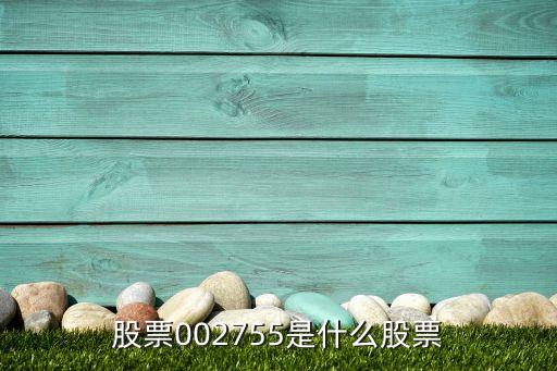 股票002755是什么股票