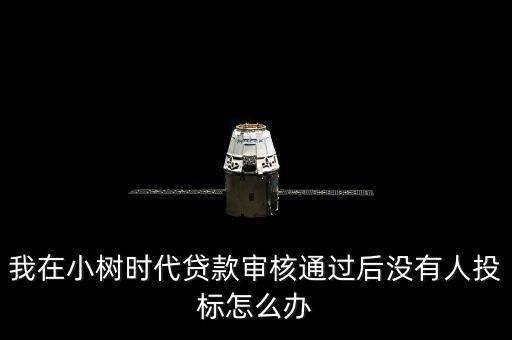 我在小樹時代貸款審核通過后沒有人投標(biāo)怎么辦