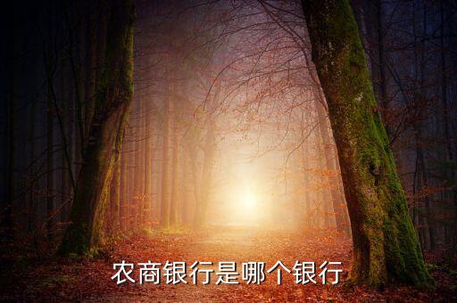 農(nóng)商銀行是哪個銀行