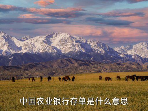 中國農業(yè)銀行存單是什么意思