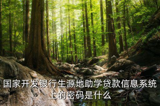 國家開發(fā)銀行生源地助學(xué)貸款信息系統(tǒng)上的密碼是什么