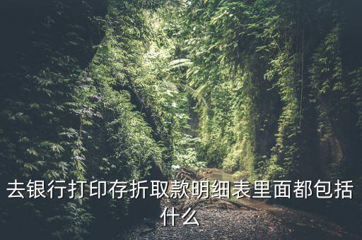 去銀行打印存折取款明細表里面都包括什么