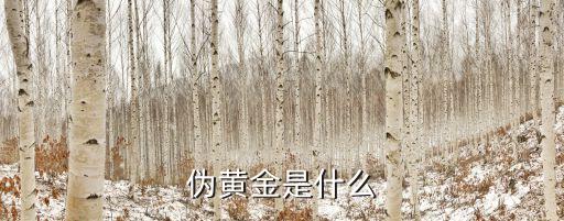偽黃金指的是什么樣的，什么叫偽共晶