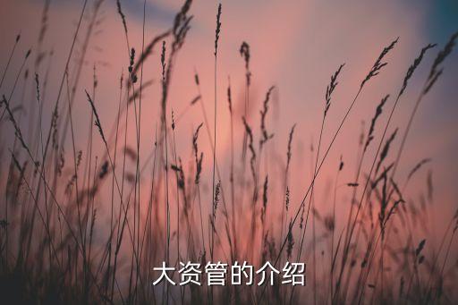 大資管的介紹