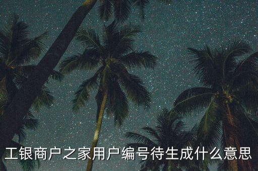工銀商戶之家用戶編號待生成什么意思