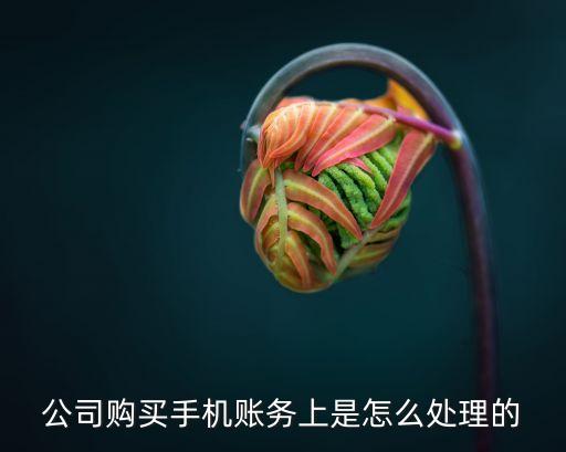 零元購機(jī)賬務(wù)什么處理，公司購買手機(jī)賬務(wù)上是怎么處理的