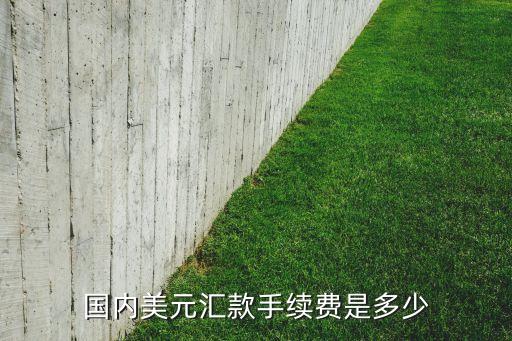國內(nèi)美元匯款手續(xù)費是多少