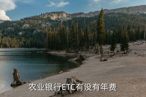 農(nóng)業(yè)銀行ETC有沒有年費
