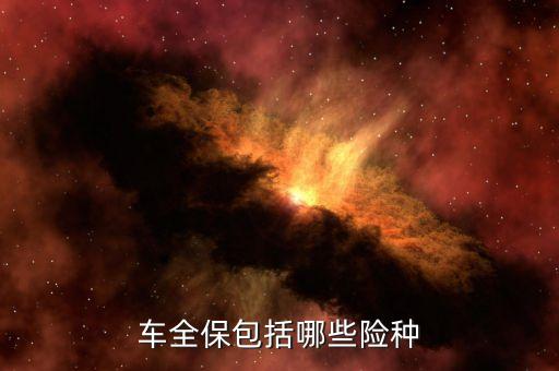 車全保包括哪些險種