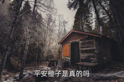 平安橙豐什么產(chǎn)品，平安橙子是真的嗎