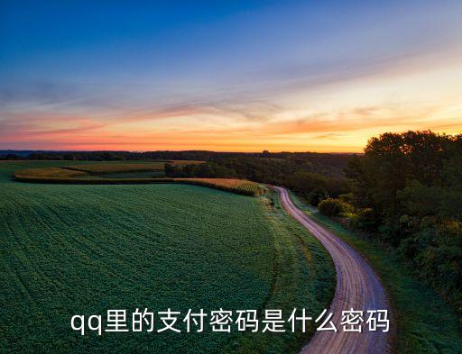 qq里的支付密碼是什么密碼