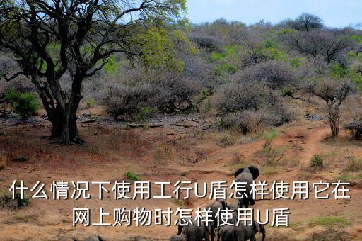 什么情況下使用工行U盾怎樣使用它在網(wǎng)上購物時(shí)怎樣使用U盾