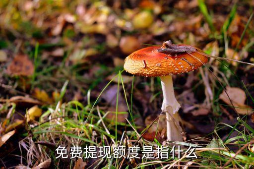 支付寶提現(xiàn)額度指什么意思，免費(fèi)提現(xiàn)額度是指什么