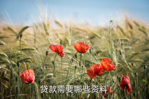 貸款需要哪些資料