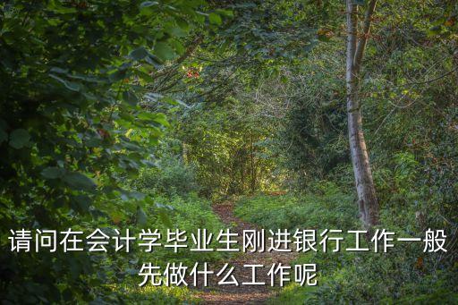 請(qǐng)問(wèn)在會(huì)計(jì)學(xué)畢業(yè)生剛進(jìn)銀行工作一般先做什么工作呢