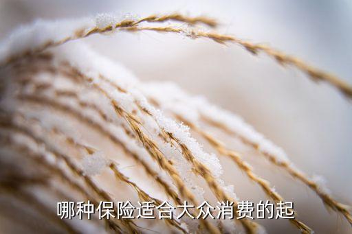 哪種保險(xiǎn)適合大眾消費(fèi)的起