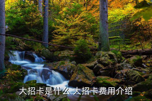 大招卡是什么 大招卡費(fèi)用介紹