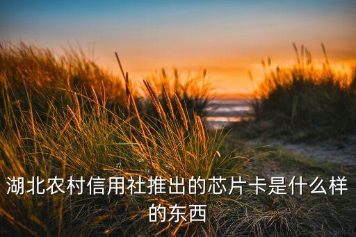 湖北農(nóng)村信用社推出的芯片卡是什么樣的東西