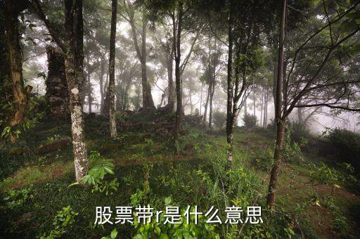 股票里面的r是什么意思啊，股票帶r是什么意思