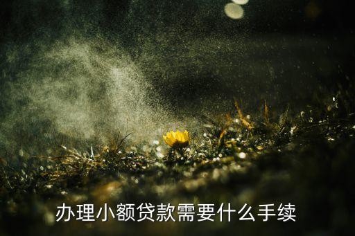 小額借款需要什么手續(xù)，小額貸款都需要什么手續(xù)
