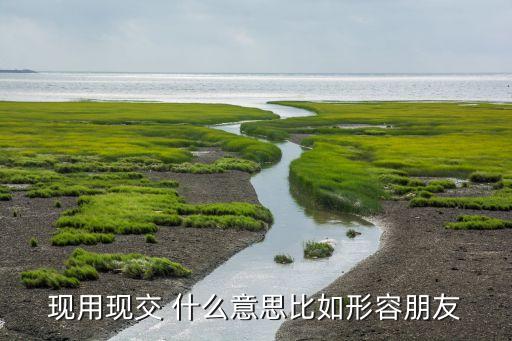 現(xiàn)用現(xiàn)交 什么意思比如形容朋友