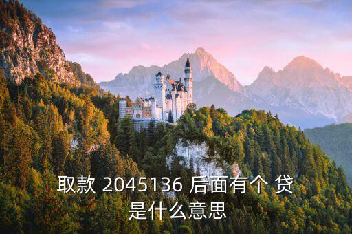 取款 2045136 后面有個 貸 是什么意思