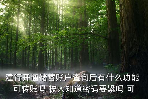 建行開通儲蓄賬戶查詢后有什么功能 可轉(zhuǎn)賬嗎 被人知道密碼要緊嗎 可
