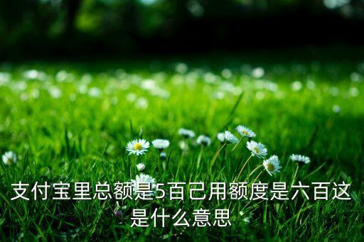 支付寶里總額是5百己用額度是六百這是什么意思