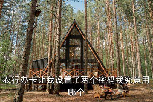 農(nóng)行卡有兩個(gè)密碼是什么，農(nóng)行辦卡讓我設(shè)置了兩個(gè)密碼我究竟用哪個(gè)