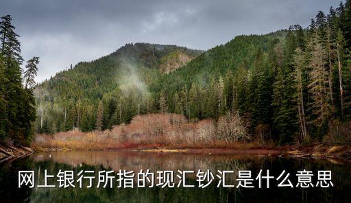 網(wǎng)上銀行所指的現(xiàn)匯鈔匯是什么意思