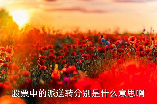 股票中的派送轉(zhuǎn)分別是什么意思啊