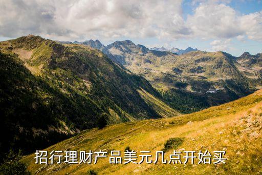 招行理財產(chǎn)品美元幾點開始買