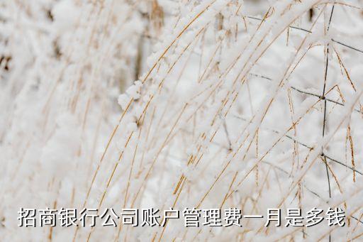 招商銀行公司賬戶管理費(fèi)一月是多錢