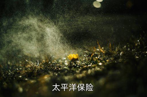 太平洋保險(xiǎn)
