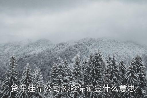 貨車掛靠公司風險保證金什么意思