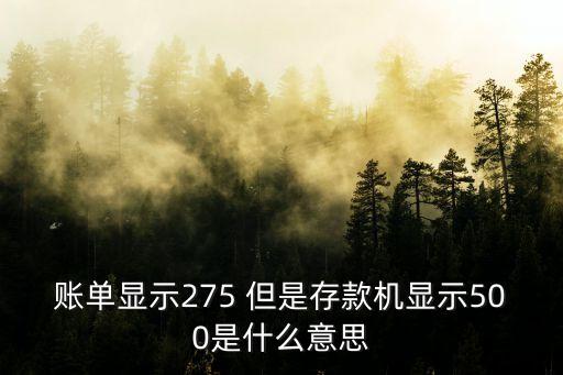 賬單總額500什么意思，7月賬單rmb5000是什么意思