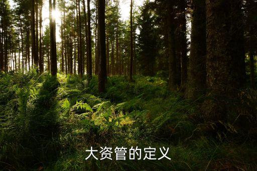 工行大資管是什么意思，大資管的定義