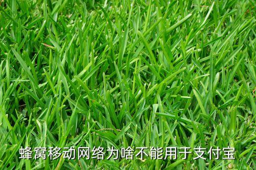 為什么網(wǎng)不能用支付寶，為什么支付寶一用無線網(wǎng)就連不上