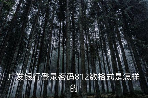 廣發(fā)銀行登錄密碼812數(shù)格式是怎樣的