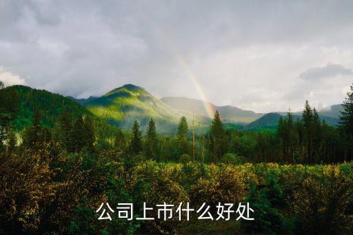 公司上市什么好處