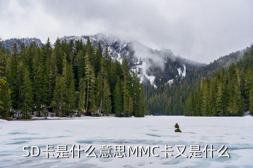 信用卡c和m是什么意思啊，信用卡vcc是什么意思