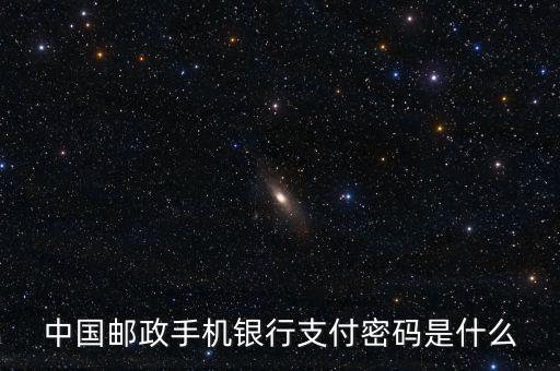 中國郵政手機銀行支付密碼是什么